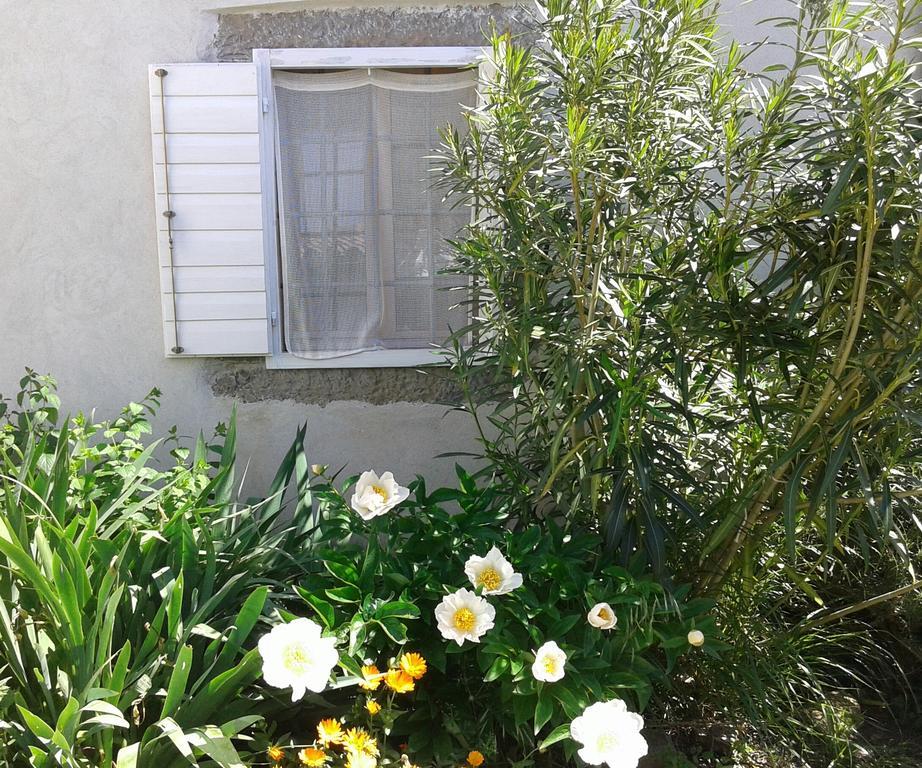 Flori Adriatic Villa Marezige Exterior photo